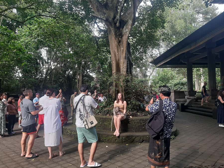 Ubud: Monkey Forest, Rice Terrace, and Waterfall - Lunch with a view instead of a rushed roadside stop