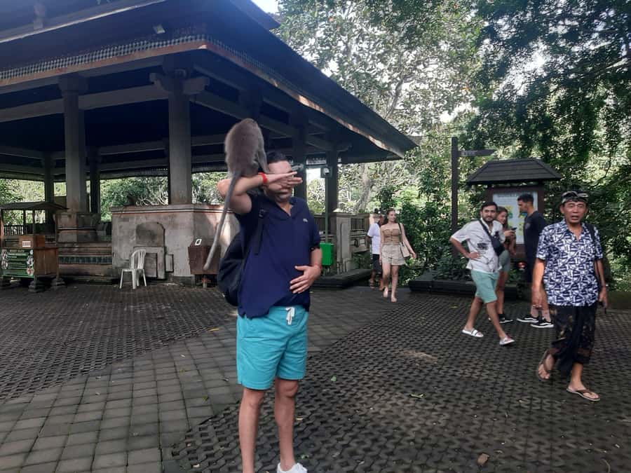 Ubud: Monkey Forest, Rice Terrace, and Waterfall - What the $44 price really covers