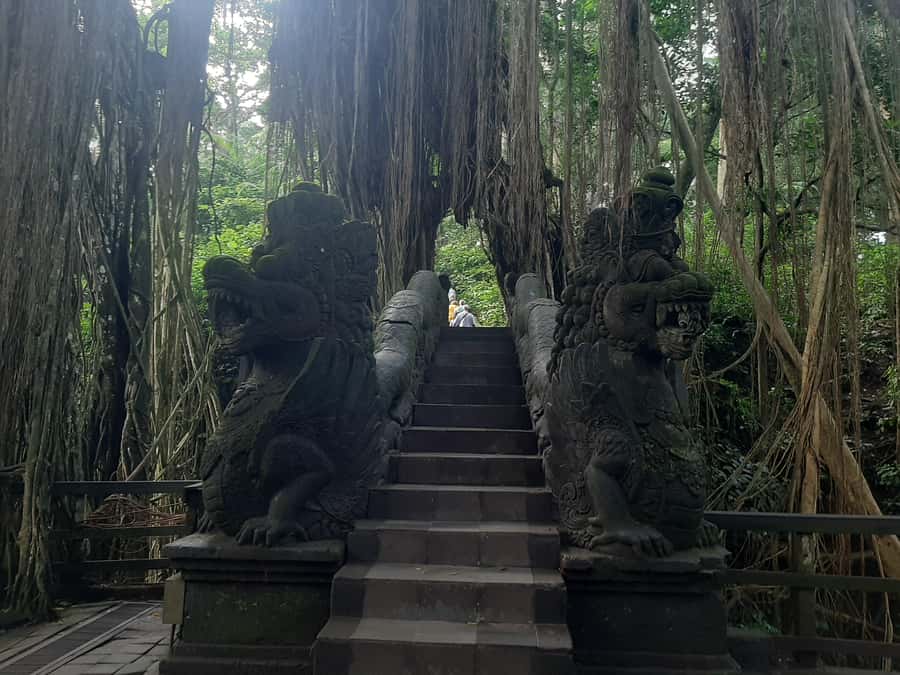 Ubud: Monkey Forest, Rice Terrace, and Waterfall - FAQ