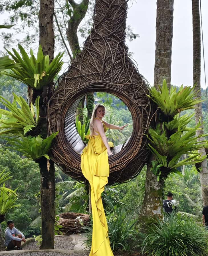 Ubud Monkey Forest, Rice Terrace, Swing, Temple & Waterfall - Swinging above the valley