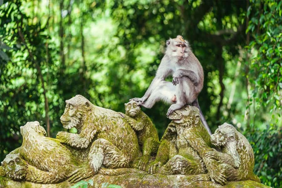 Ubud Monkey Forest, Rice Terrace, Swing, Temple & Waterfall - Meeting Bali’s traditional art villages