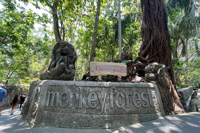 Ubud Monkey Forest Rice Terrace Temple Waterfall Private Tour - Tirta Empul Temple and Bali’s holy springs