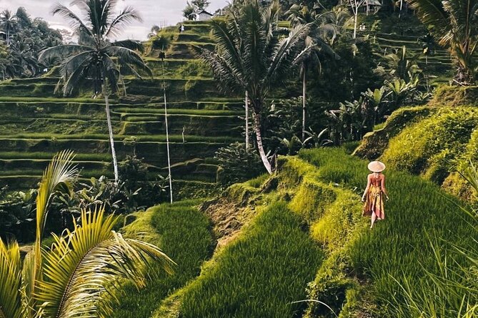 Ubud Monkey Forest, Rice Terrace & Tirta Empul Temple Tour - Key points at a glance