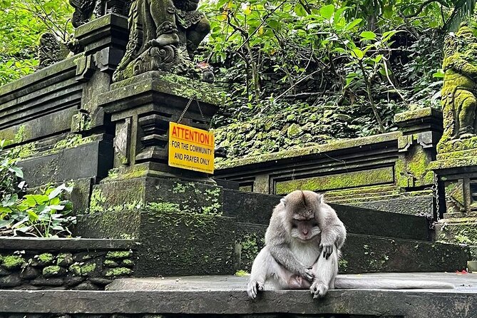 Ubud Monkey Forest, Rice Terrace & Tirta Empul Temple Tour - Shopping for souvenirs at Ubud Traditional Art Market