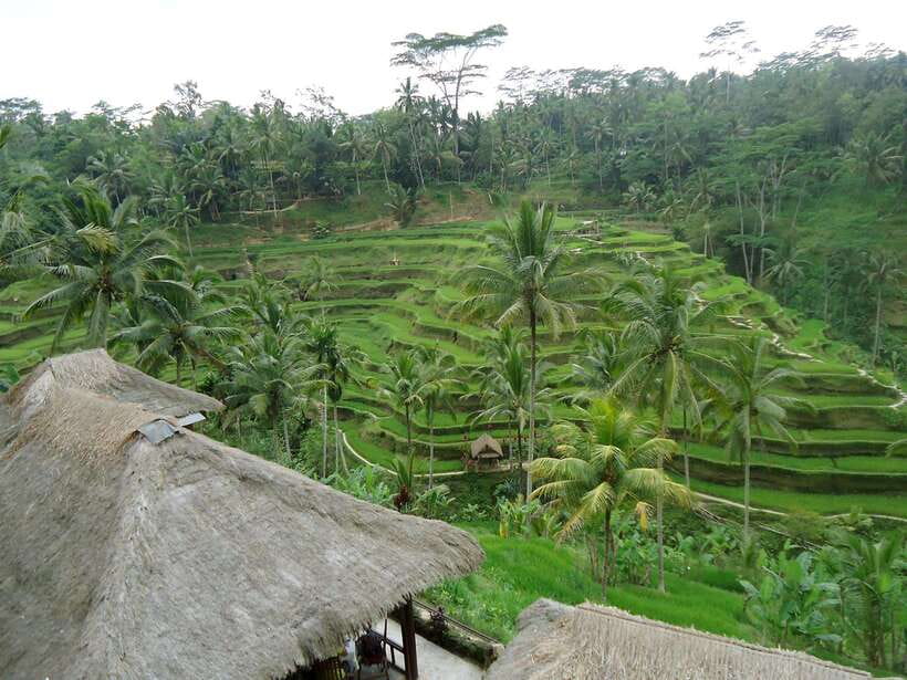 Ubud : Monkey Forest, Rice Terrace, Waterfall / Private Tour - Tegenungan Waterfall and the day’s big finish
