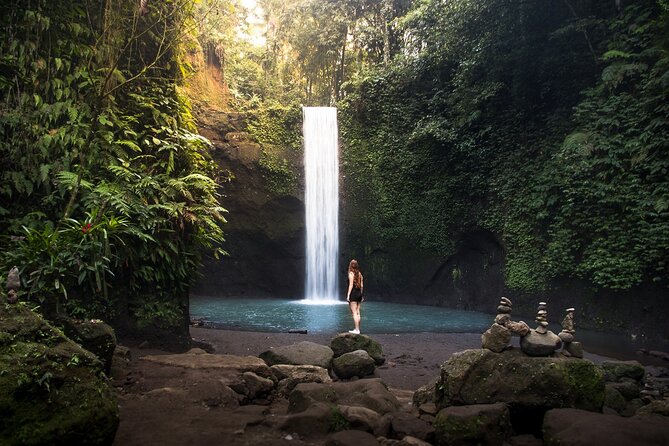 Ubud : Monkey Forest, Rice Terrace, Waterfall, Swing - Key points at a glance