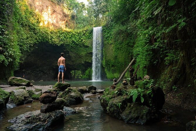 Ubud: Monkey Forest, Rice Terraces and Jungle Swing Tour - Tegenungan Waterfall: views, steps, and a choice