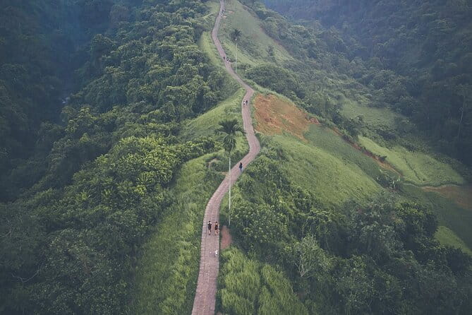 Ubud: Monkey Forest, Rice Terraces and Jungle Swing Tour - Happy Swing Bali: the photo stop