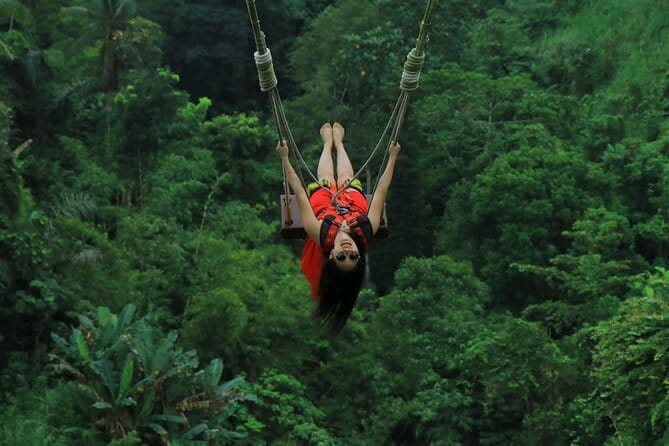 Ubud: Monkey Forest, Rice Terraces and Jungle Swing Tour - Tegalalang Rice Terrace: Bali’s working countryside