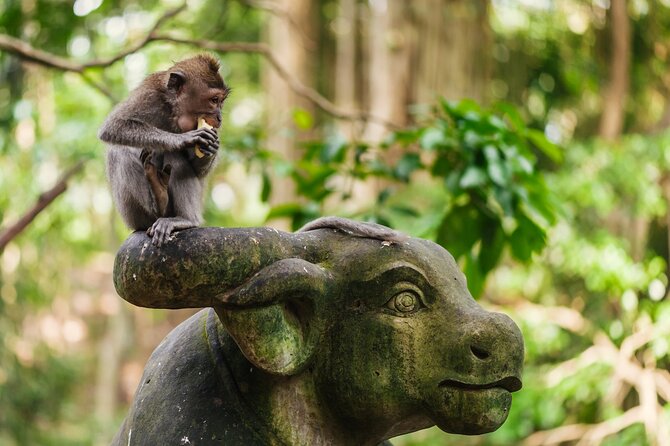 Ubud: Monkey Forest, Rice Terraces & Sacred Temples - A long day through Ubud’s sacred places