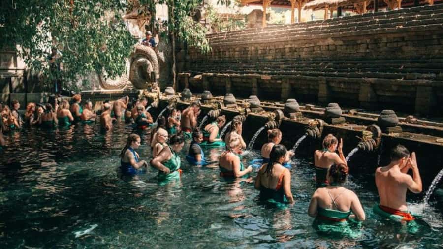 Ubud: Monkey Forest, Rice Terraces, Temple&Petanu Waterfall - Why this 10-hour Ubud route works