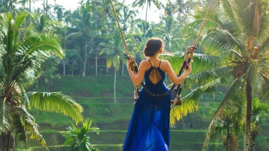 Ubud: Monkey Forest, Rice Terraces, Temple&Petanu Waterfall - Should you book this Ubud day?