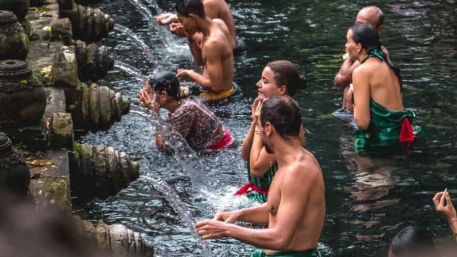Ubud: Monkey Forest, Rice Terraces, Temple&Petanu Waterfall - Meeting the monkeys in Sacred Monkey Forest