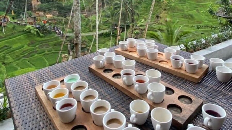 Ubud: Monkey Forest, Rice Terraces, Temple&Petanu Waterfall - Walking the Tegallalang Rice Terraces