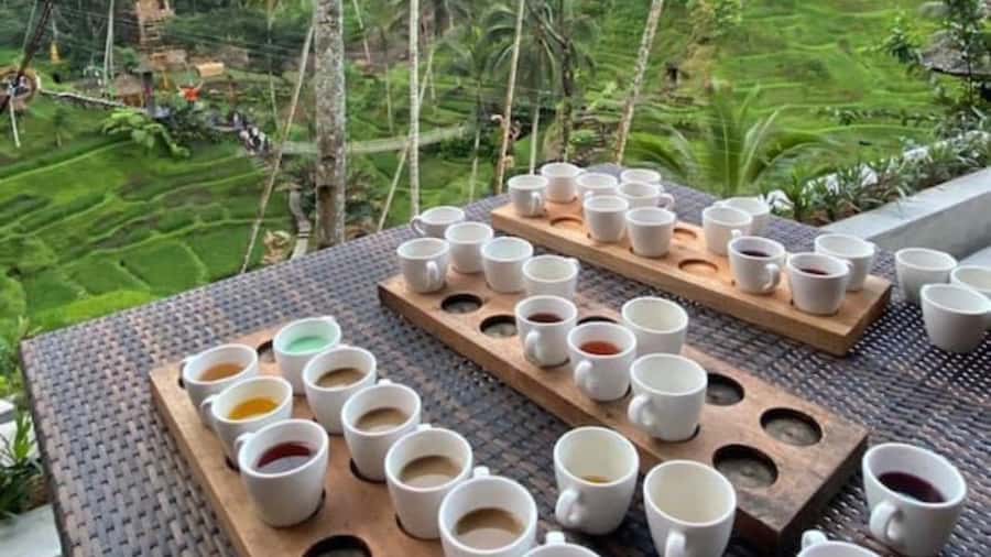 Ubud: Monkey Forest, Rice Terraces, Temple&Petanu Waterfall - Coffee, tea, and the Luwak tasting