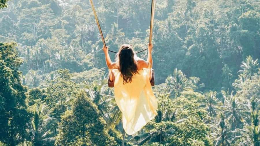 Ubud: Monkey Forest, Rice Terraces, Temple&Petanu Waterfall - The private-car advantage