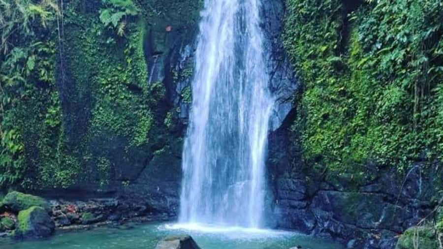 Ubud: Monkey Forest, Rice Terraces, Temple&Petanu Waterfall - Food, timing, and what to bring