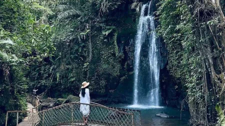 Ubud: Monkey Forest, Rice Terraces, Temple&Petanu Waterfall - Who will get the most from this tour