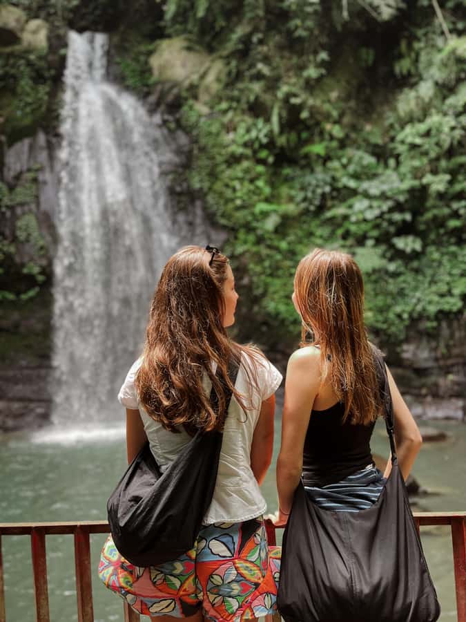 Ubud:Monkey Forest, Rice Terraces, Water Temples, Waterfalls - Who will enjoy this Ubud day