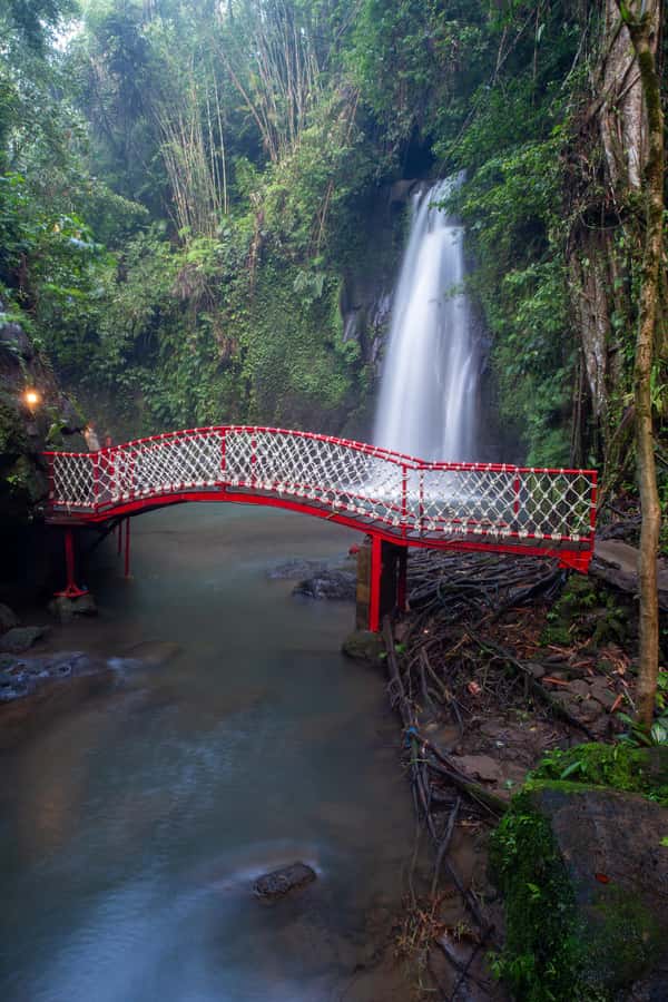Ubud:Monkey Forest, Rice Terraces, Water Temples, Waterfalls - A full day built around Ubud’s highlights