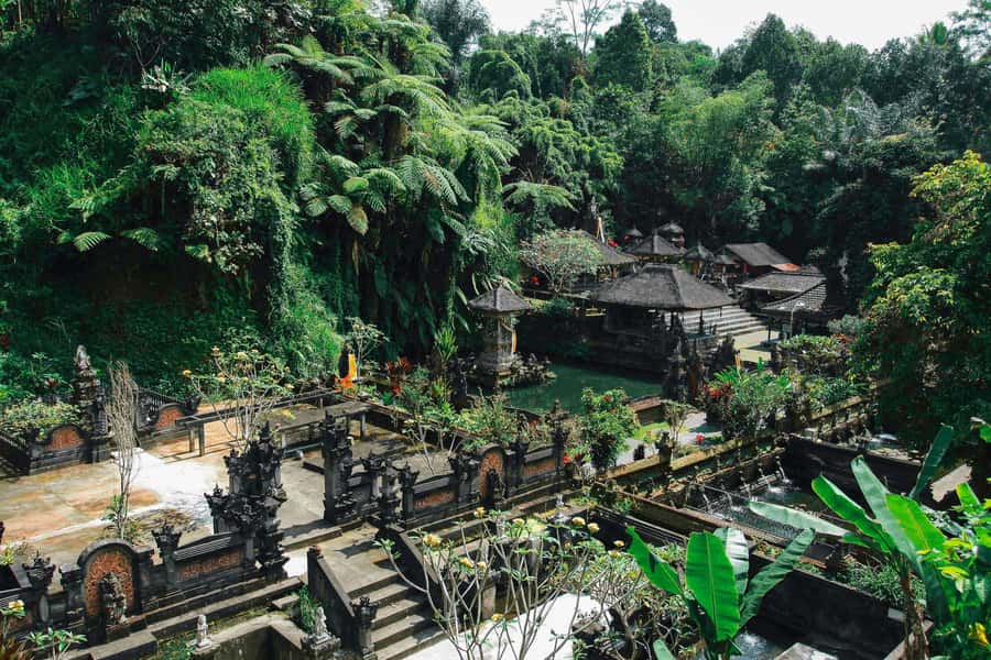 Ubud:Monkey Forest, Rice Terraces, Water Temples, Waterfalls - Price, tickets, and what you really pay