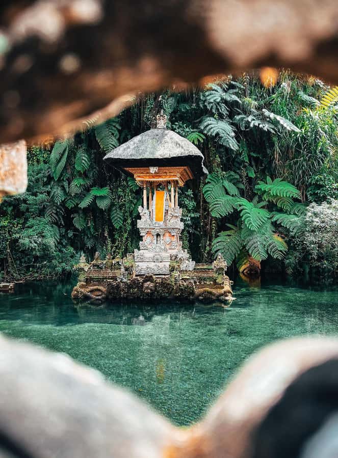 Ubud:Monkey Forest, Rice Terraces, Water Temples, Waterfalls - Starting at the Sacred Monkey Forest Sanctuary