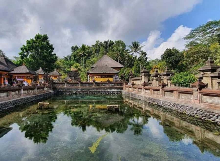 Ubud, Monkey forest, Riceterace Waterfall, Purification - Key points at a glance