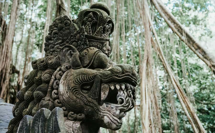 Ubud, Monkey forest, Riceterace Waterfall, Purification - What this Ubud day is really like