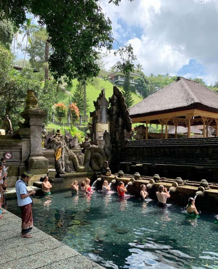 Ubud, Monkey forest, Riceterace Waterfall, Purification - Tegallalang Rice Terrace and the Bali Swing