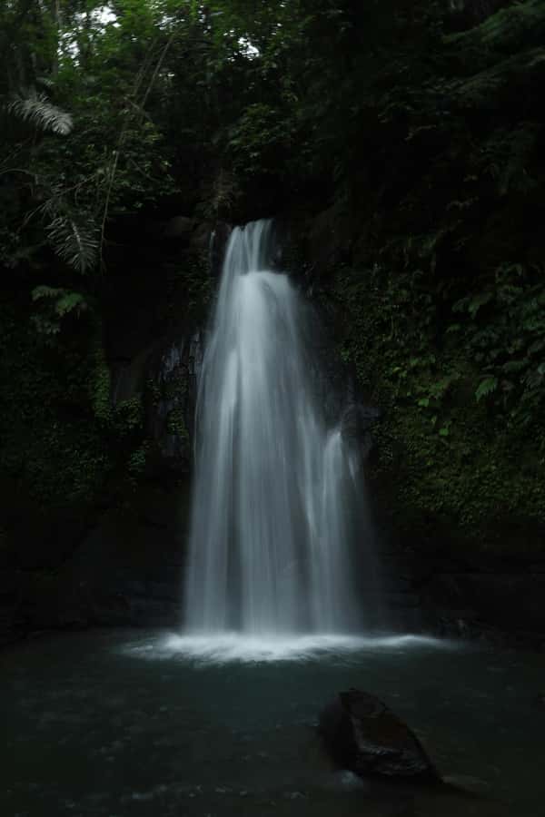 Ubud, Monkey forest, Riceterace Waterfall, Purification - Ulupetanu Waterfall for a quieter pause