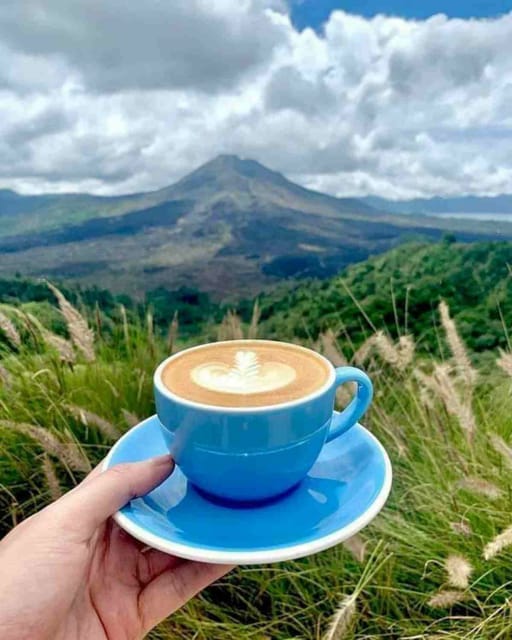 Ubud, Monkey forest, Riceterace Waterfall, Purification - Coffee plantation and local products