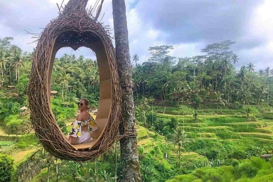 Ubud, Monkey forest, Riceterace Waterfall, Purification - The purification temple is the cultural heart