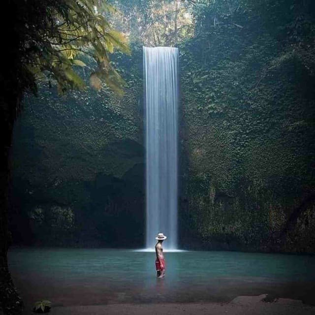 Ubud, Monkey forest, Riceterace Waterfall, Purification - Why a private driver-guide matters