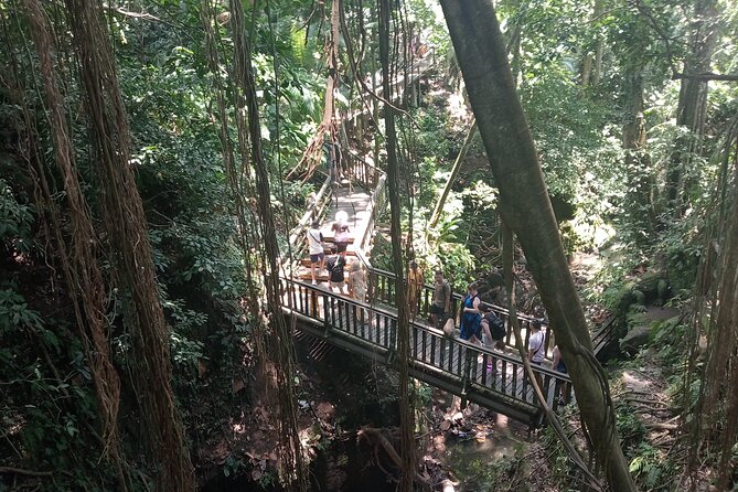 Ubud Monkey Forest Sanctuary Entrance Ticket All Inclusive - Who will enjoy this experience most