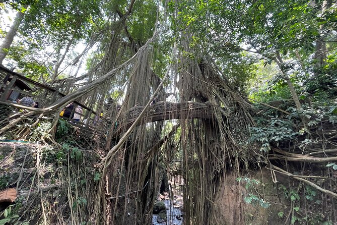 Ubud Monkey Forest Sanctuary Entrance Ticket All Inclusive - Practical booking details that matter