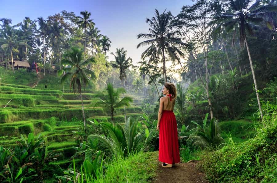 Ubud: Monkey Forest Sanctuary & Jungle Swing Tour - Walking among the monkeys at Sacred Monkey Forest