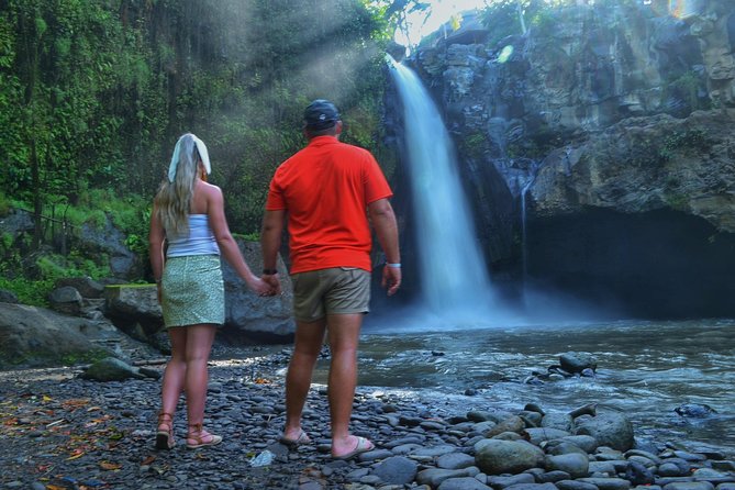 Ubud Monkey Forest Sanctuary Tours and Cretya - Ubud Monkey Forest: a close look at a famous sanctuary