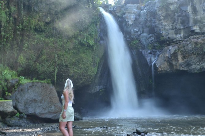 Ubud Monkey Forest Sanctuary Tours and Cretya - The guide makes the difference