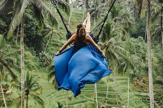 Ubud Monkey Forest, Scenic Rice Terrace with Swing and Waterfall - What this Ubud day is really designed to do