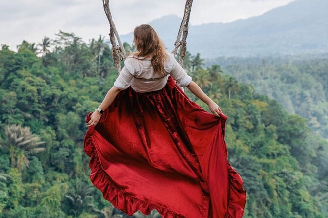 Ubud Monkey Forest, Scenic Rice Terrace with Swing and Waterfall - How the private car changes the day