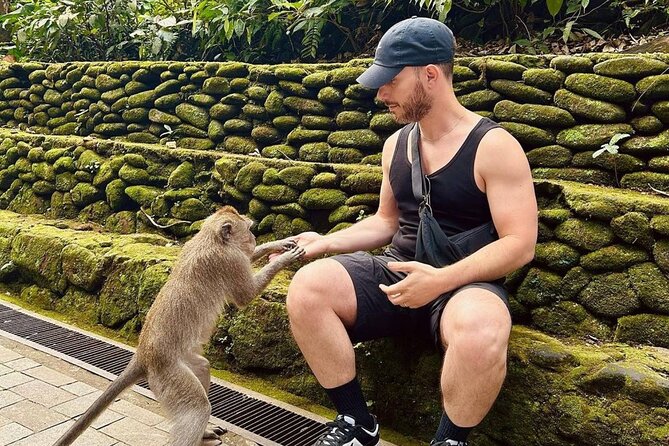Ubud Monkey Forest, Scenic Rice Terrace with Swing and Waterfall - Lunch, local food, and the real cost