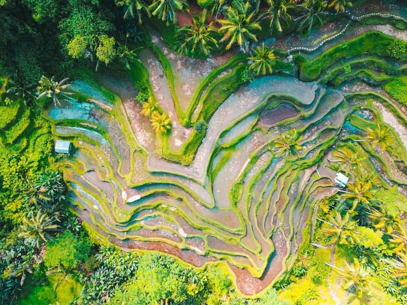 Ubud: Monkey Forest, Tegenungan Waterfall, and Rice Terraces - Ubud Art Market for gifts and small finds