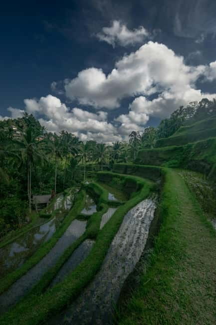 Ubud: Monkey Forest, Tegenungan Waterfall, and Rice Terraces - Tegenungan Waterfall in a small valley