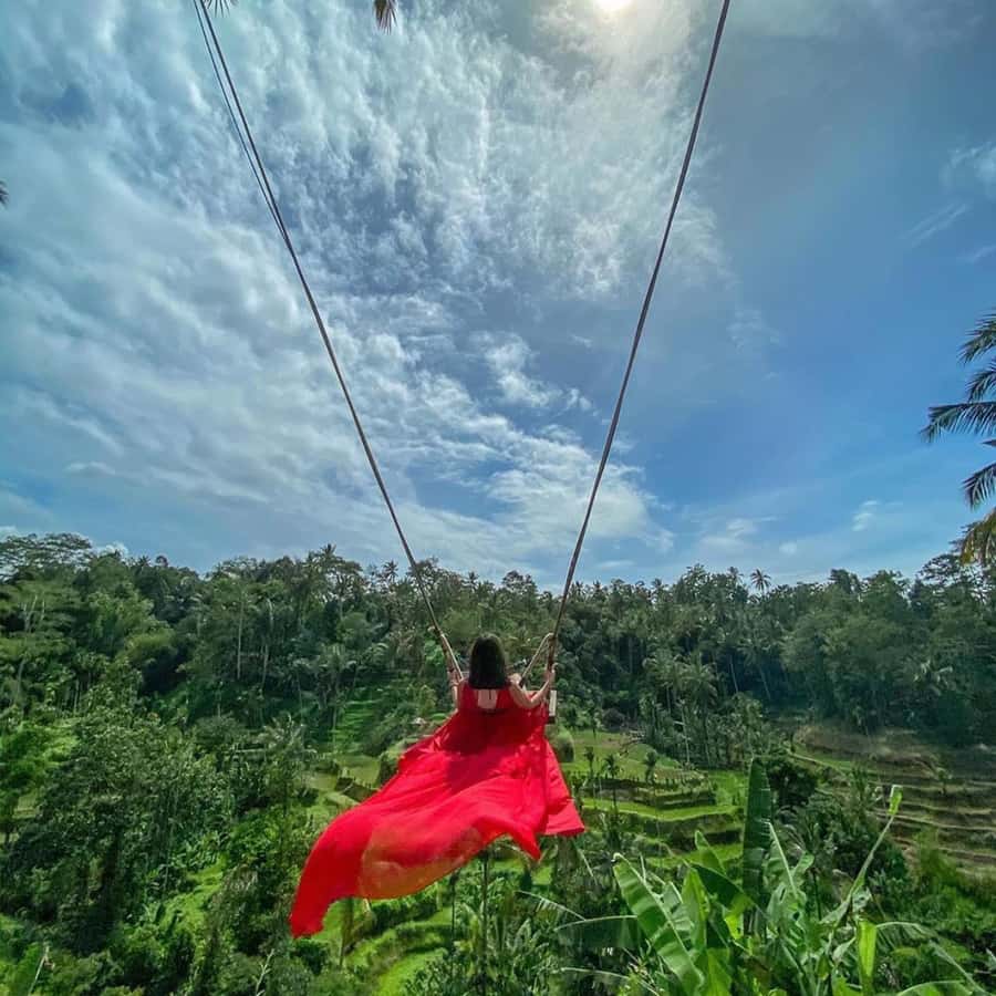 Ubud Monkey Forest, Temple, Rice Terrace and Waterfall Tour - Tegallalang Rice Terraces: views, farming, and optional adrenaline