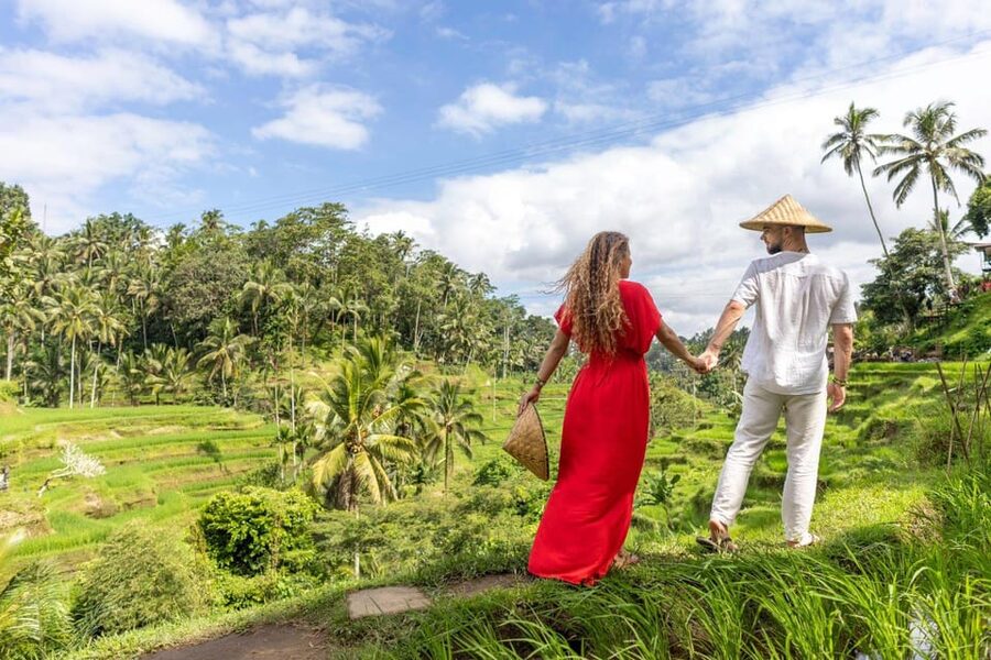 Ubud Monkey Forest, Temple, Rice Terrace and Waterfall Tour - What the $24 price does and does not cover