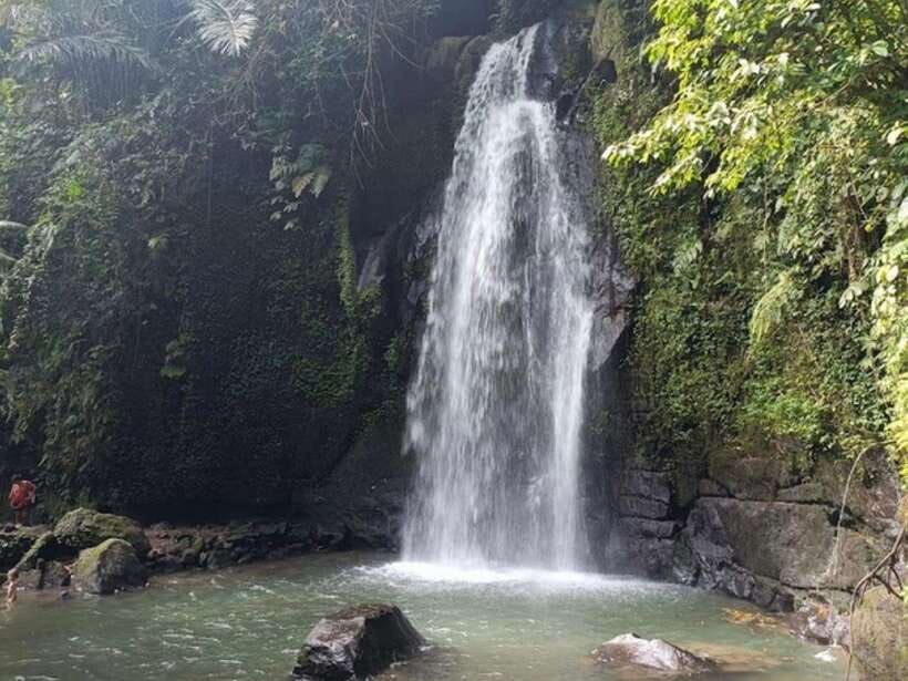Ubud: Monkey Forest, Temple, Rice Terraces, Hidden Waterfall - Practical advice for a smoother day