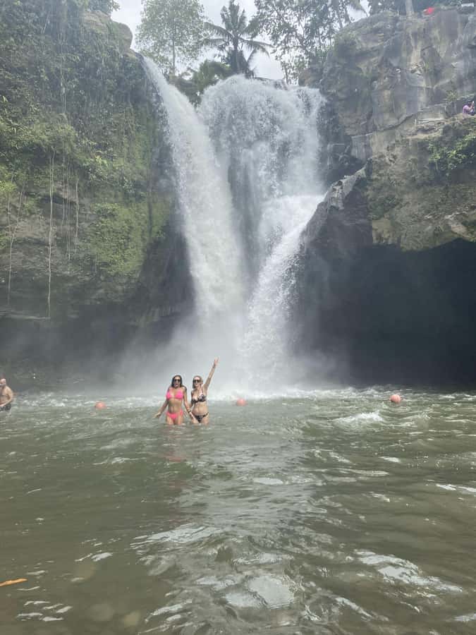 Ubud :Monkey forest, Water Temple and waterfall Private Tour - Who will get the most from this tour