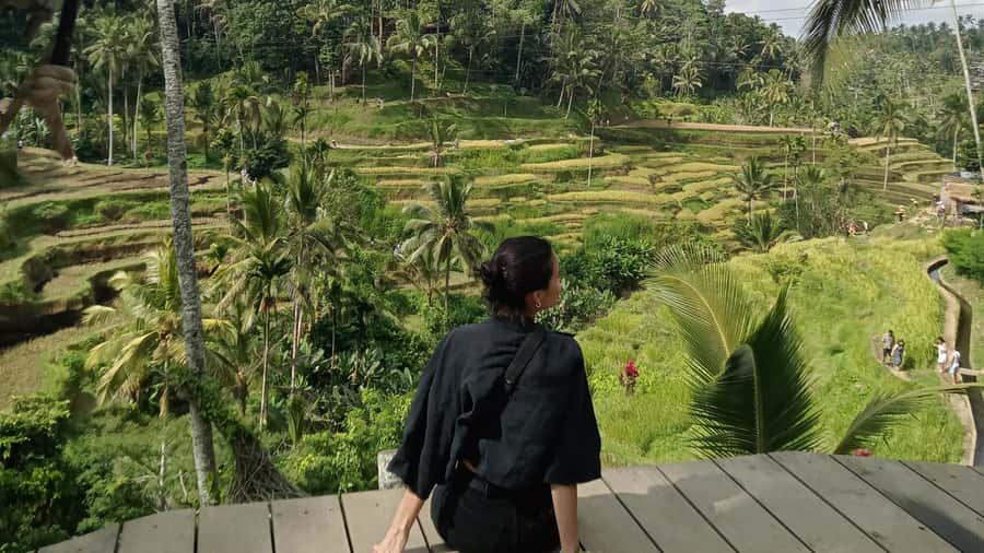 Ubud :Monkey forest, Water Temple and waterfall Private Tour - Watching wood carving at Yana Art Gallery