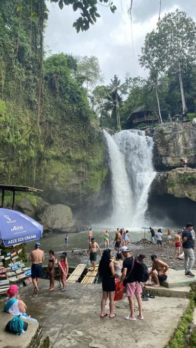 Ubud :Monkey forest, Water Temple and waterfall Private Tour