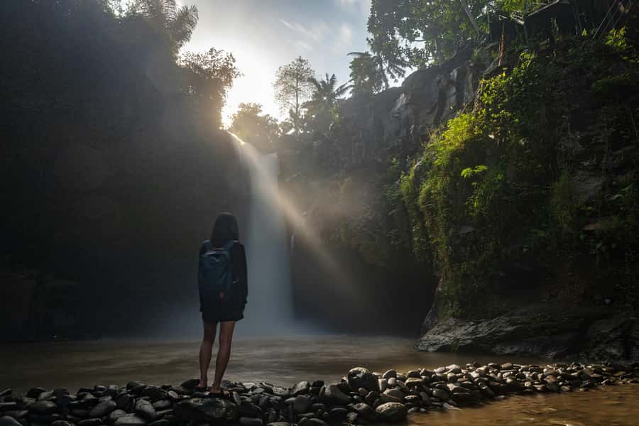 Ubud: Monkey Forest, Waterfall, and Rice Terrace Tour - Is $35 good value?